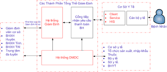 Quy trình chuẩn hóa từ nhập liệu đến gửi hồ sơ BHYT giúp giảm 60–80% lỗi XML nhờ kiểm tra logic 4750.